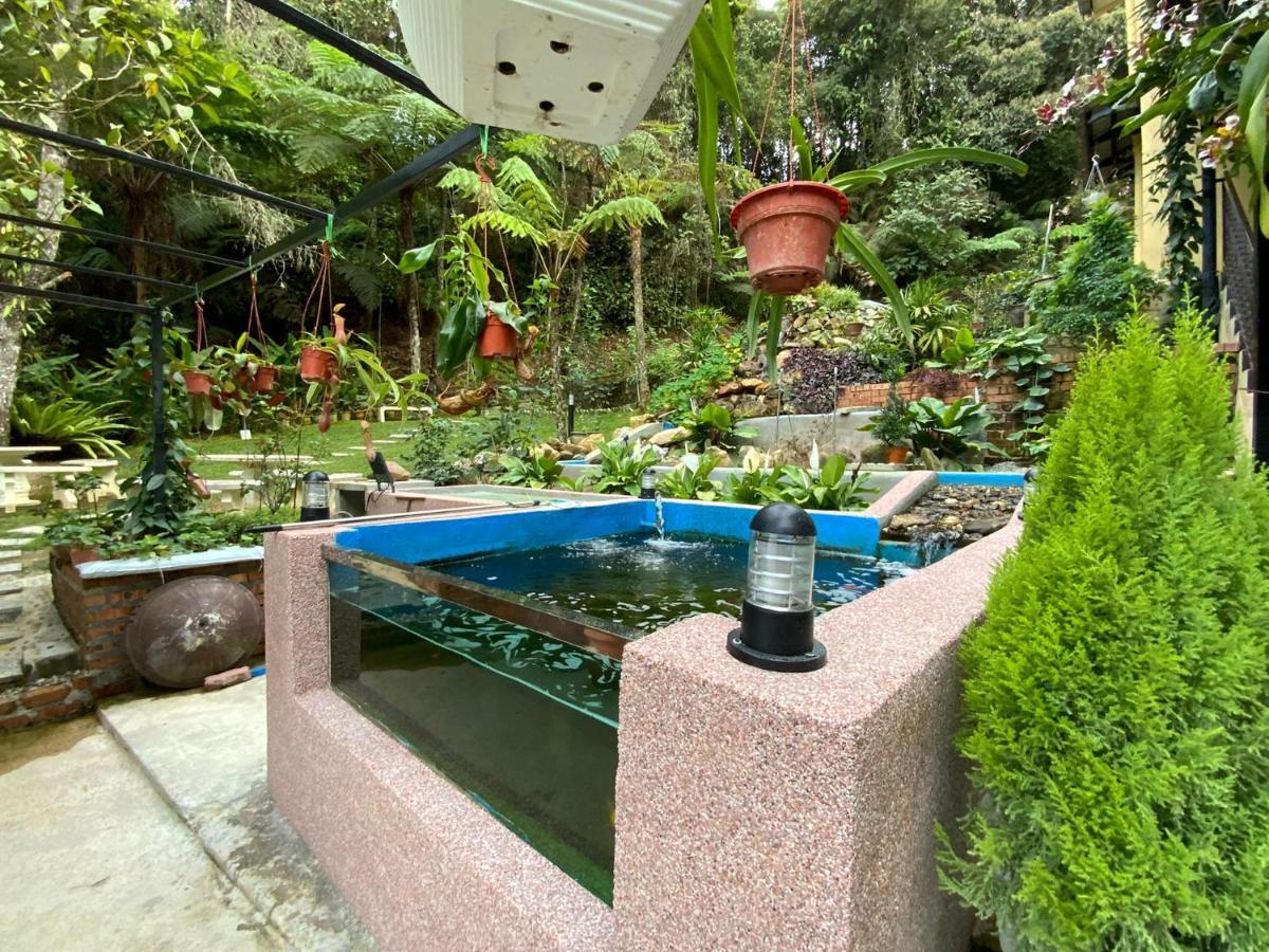 Highlanders Garden Guesthouse At Arundina Cameron Highlands Dış mekan fotoğraf