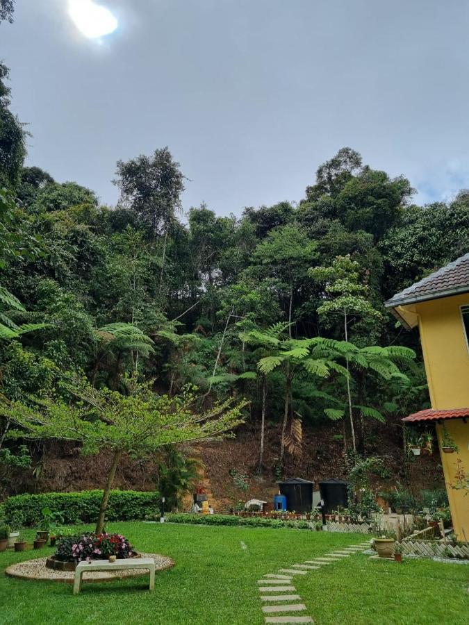 Highlanders Garden Guesthouse At Arundina Cameron Highlands Dış mekan fotoğraf