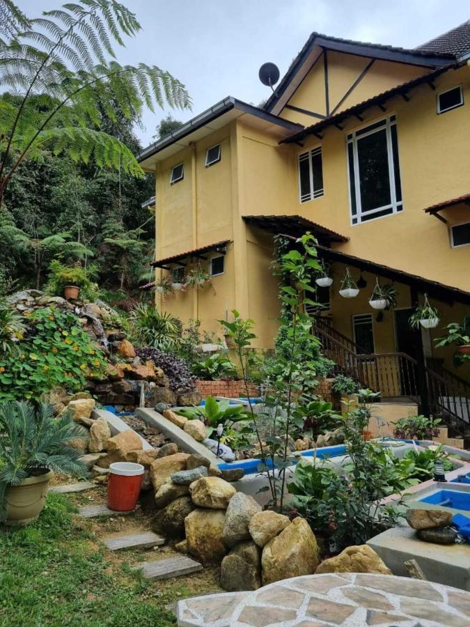 Highlanders Garden Guesthouse At Arundina Cameron Highlands Dış mekan fotoğraf