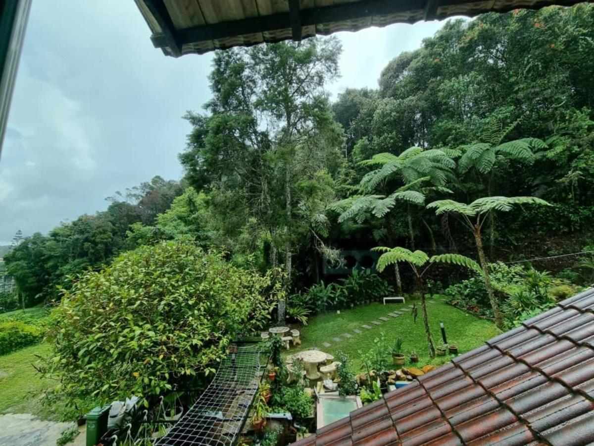Highlanders Garden Guesthouse At Arundina Cameron Highlands Dış mekan fotoğraf